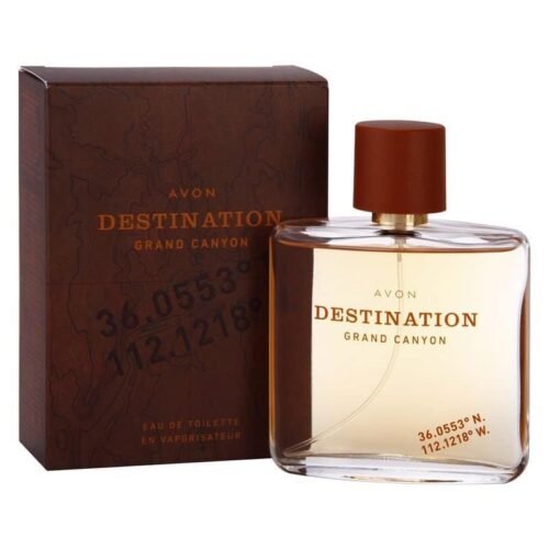 Locasit Eau de Parfum for Ladies - 110ml | MyGhMarket