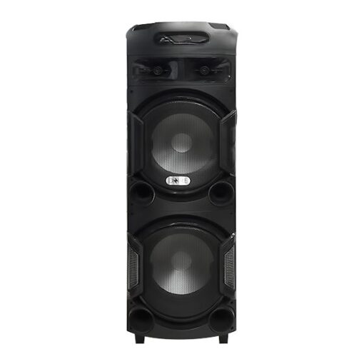 DZIRE HIFI12DR128 Portable HiFi Speaker with Mic 100W