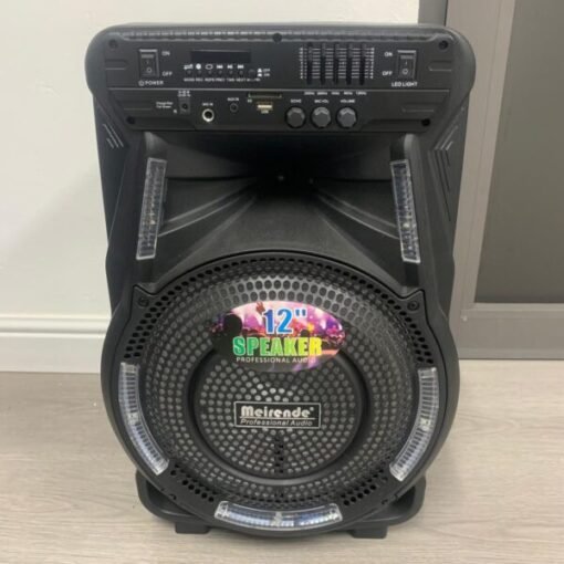 Gold Star Mierende Speaker - 300W K2-12