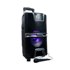 Nasco NASD-250W 25Watt Audio Bluetooth Karaoke Speaker